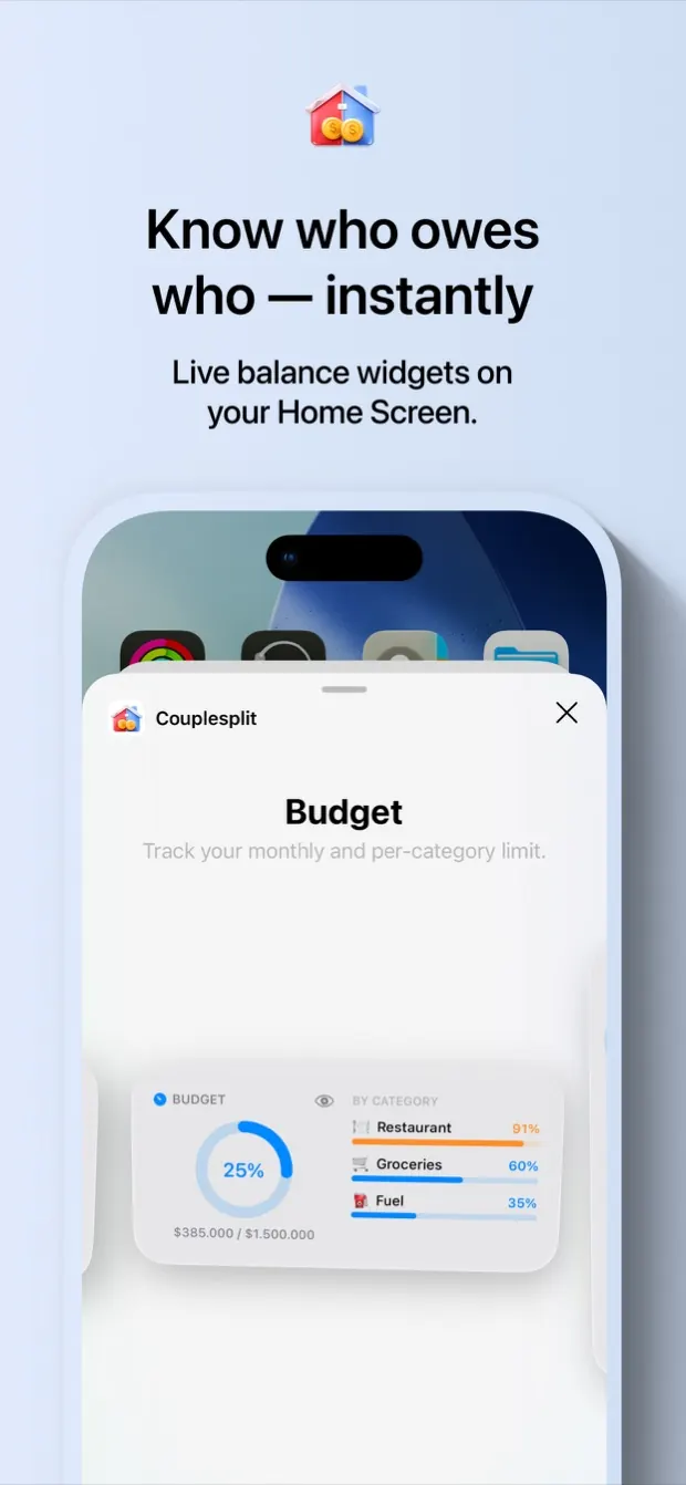 Balance and budget widgets for the Home Screen